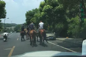 骑马骑到马路上，原来是去上班图片
