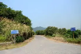 北仑有位“割草大叔”！火了！图片