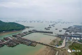 奉化200多艘渔船出海！不出一周就能吃到新鲜海鲜啦！图片