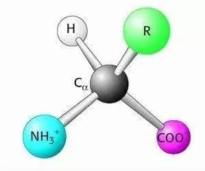 瀛︾敓澶氳ˉ鍏呮皑鍩洪吀鑳借ˉ鑴戯紵鍒啀琚晢瀹跺拷鎮犱簡锛岃繖鏍峰弽鑰屼細瀹充簡瀛╁瓙