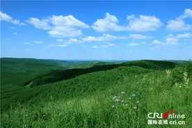 【砥砺奋进的五年】塞罕坝人跨越半个世纪的追求:从造林奇迹到绿色发展图片