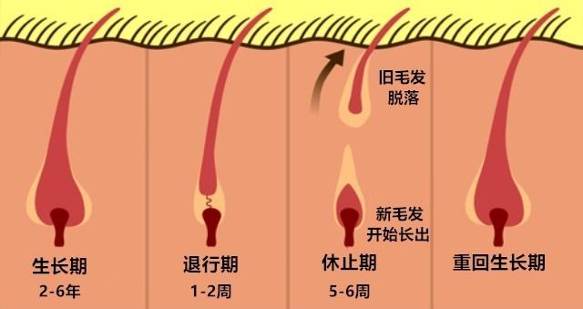 光溜溜的感觉真好 9种脱毛方式哪种爽?