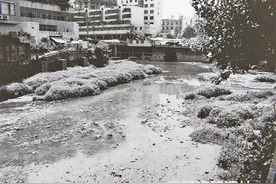 探寻古诗中永川：流成永字三江秀 汇入碧川万顷涛图片