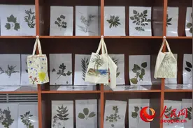 林业专家教你捕蝴蝶、做标本 这些技能你get了吗？图片