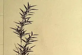 书评｜简笔有浓情，平实现温暖——读《人间草木》有感图片