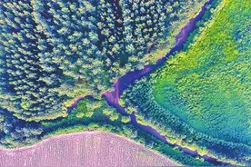 读诗经 看大河 | 诗里河水悠悠 千古不减风流图片