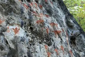 你们用的表情包，竟然是一部人类简史，多的是你不知道的事！图片