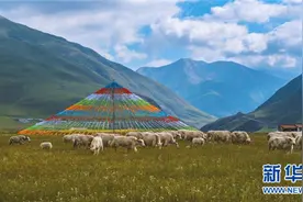 青海门源：祁连牧场助脱贫 点燃牧民新希望图片
