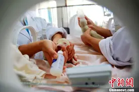 山东一海洋馆北极熊诞下“龙凤胎”图片