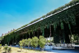 高架桥“披绿”为城市添色图片