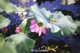 假如杭州也有朋友圈……图片