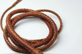 「志载武术」十八般兵器（九）——鞭图片