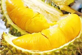 榴莲核的作用有哪些？榴莲核有什么功效值得注意？图片