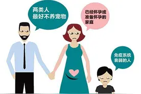 养宠物 要警惕这8种传染病图片