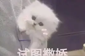 女朋友特别能吃，爸妈会接受吗？图片