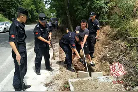 流浪藏獒突然发狂连伤两人，特警果断将其击毙图片