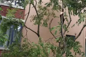 今天凌晨广安狂风暴雨，多处树木被吹断吹倒！图片