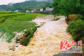 泸溪县解放岩乡：齐心协力抗洪抢险救灾图片