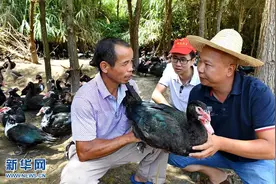 精准扶贫 精准到户图片