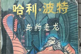 辣眼睛！这些中国山寨盗版的《哈利·波特》真是太油菜了图片