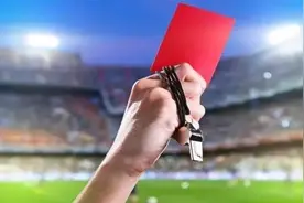 这家评估机构遭证监会顶格处罚，这些年遭罚的评估机构还真不少图片