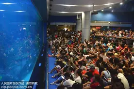 害怕封闭空间或影响正常生活 如何治疗幽闭恐惧症？图片