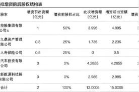 中法人寿法方持股只剩3.33% 隐秘富豪于泳顶格持股33.3%图片