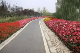 成都十大跑步胜地评选│ 一大波私家线路来袭，景美人少速来！图片