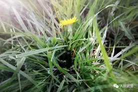 熄灯号｜子弹壳也不只是子弹壳 只要用心思考图片