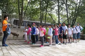 成都30余名中小学生走进昆明动物博物馆学做蝴蝶标本图片