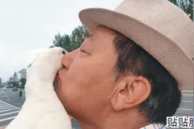 宠物鸭养9年贼招人稀罕 爱和主人贴贴脸不洗澡就撒撒娇图片