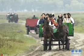 日本真子公主订婚前随父亲出访匈牙利 乘马车参观农场图片