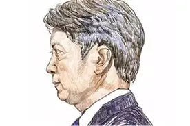 融创上半年净利预增约15倍 孙宏斌的“顺驰之魂”图片
