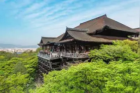拿着第一笔薪水带爸妈去旅行吧图片