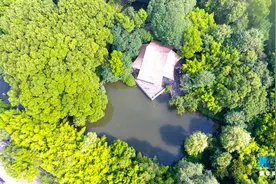 古风影视剧取景热门地 航拍上海方塔园图片