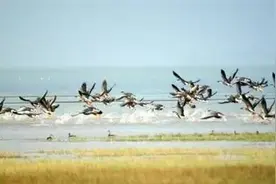 2017/8/23(342)「检察微文」天门沉湖贪污窝案办理记（三）图片