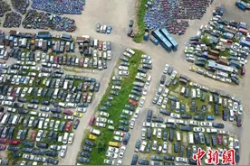 深圳5.5万辆车因逾期未年审被强制报废图片
