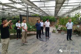 宿迁市洋河新区党政考察团来我县考察兰陵国家农业公园图片