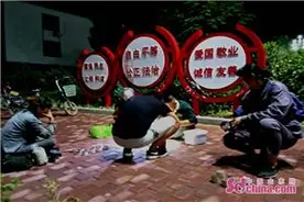 蛐蛐江湖——淘虫之季 “蟀”领姚村图片