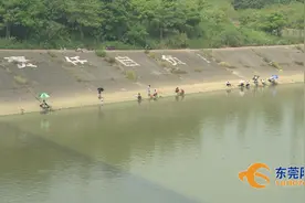 桥头：野泳屡禁不止！“拼死”也要凉快？图片