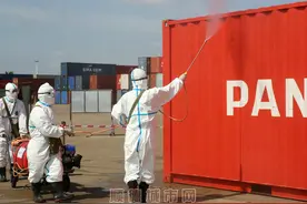 发现红火蚁蚁穴？顺德是这样处理的……图片