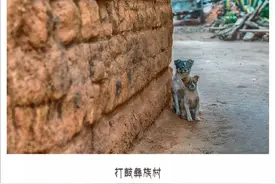 打鼓村真是个让人心头一甜的地方图片