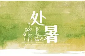 今日处暑！你知道“秋老虎”到底是只什么“虎”吗？图片
