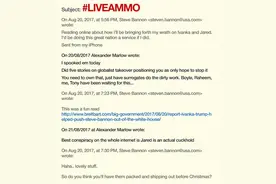 英国“网络神骗”套出班农的小目标：扳倒特朗普女婿图片