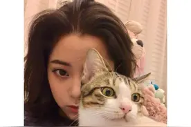 欧阳娜娜与萌猫自拍大眼萌萌哒 却遭其眼神拒绝图片