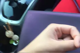 女子坐顺风车 被驾驶员强行拉手？图片