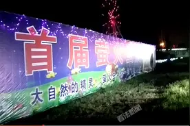 萤火虫展导致大量萤火虫死亡 主办方：给养殖场分钱了图片