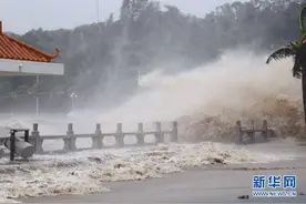 14级台风什么样？9张图告诉你图片