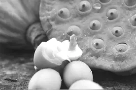 解暑降热 莲蓬还有这些妙用图片