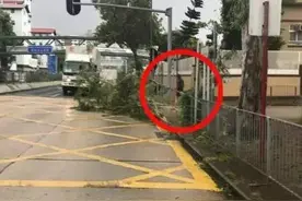 香港热心市民周先生冒台风砍树清路，这不是内个谁吗？图片
